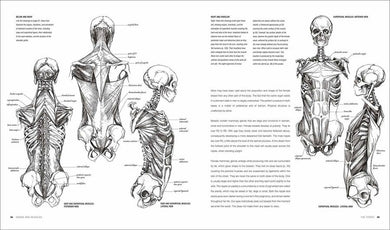 Anatomy for the Artist (Hardback) DK UK