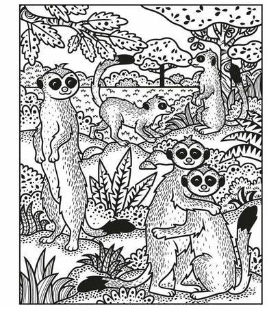 Animals Magic Painting Book Usborne