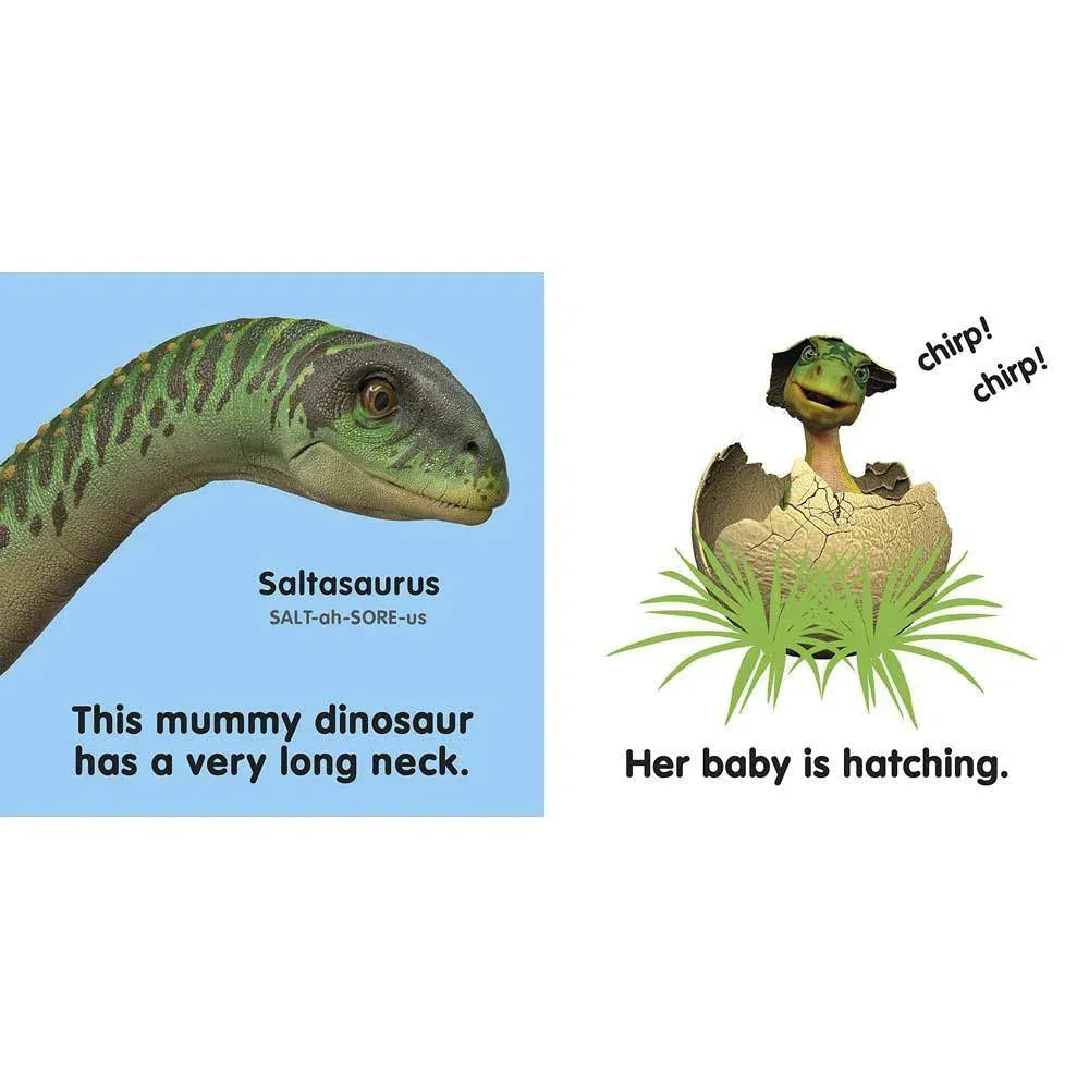 Baby Touch and Feel - Baby Dinosaur (Board book) DK UK