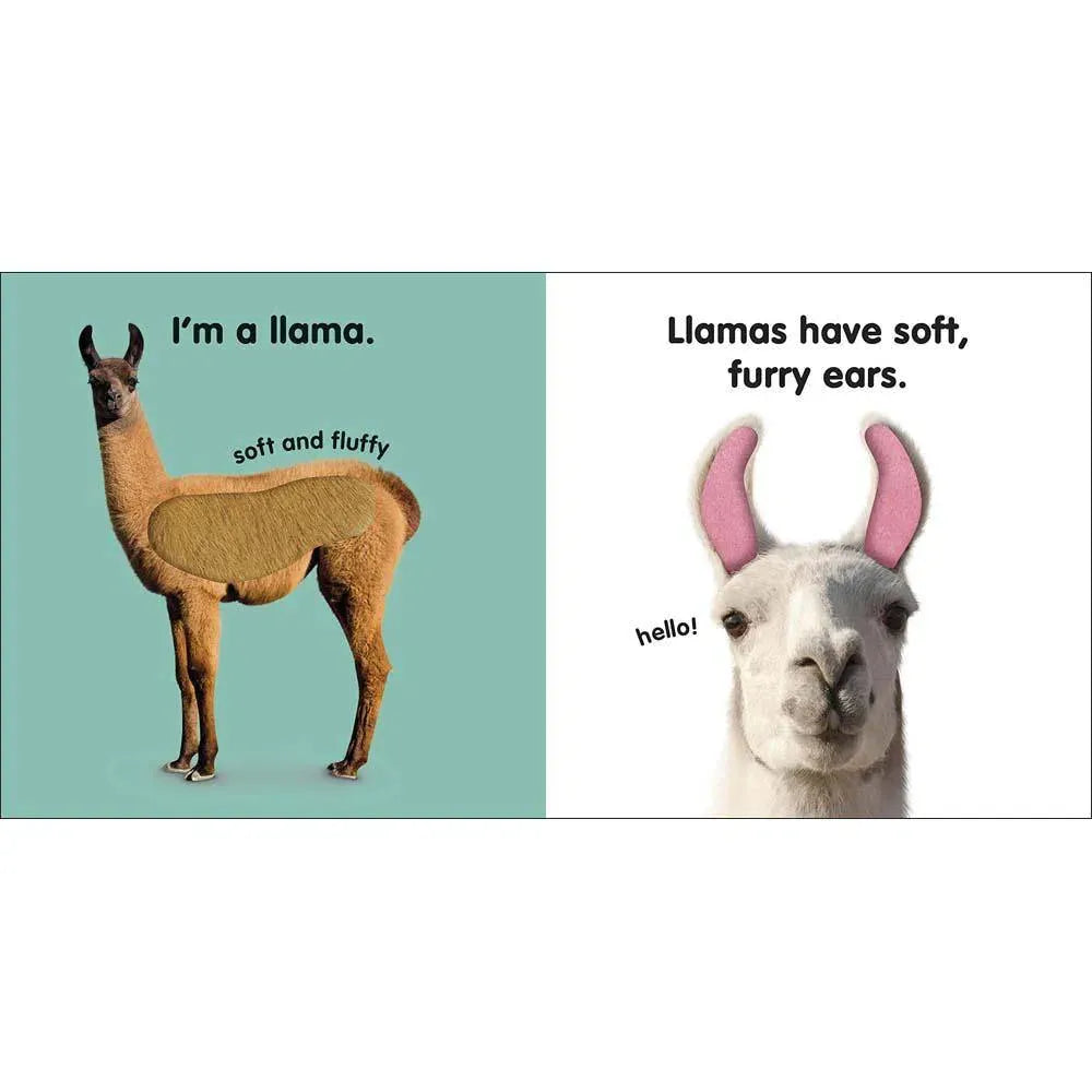 Baby Touch and Feel - Llama (Board book) DK UK