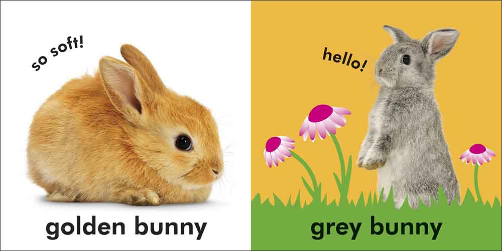 Baby Touch and Feel Bunny-Nonfiction: 學前基礎 Preschool Basics-買書書 BuyBookBook