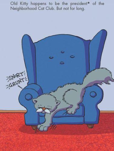 Bad Kitty for President (Graphic Novel) (Hardback) Macmillan US