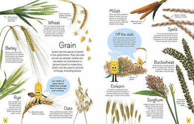Best Ever Bread Book, The (Hardback) DK UK