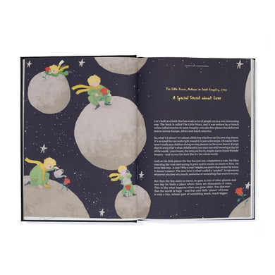 Big Ideas from Literature