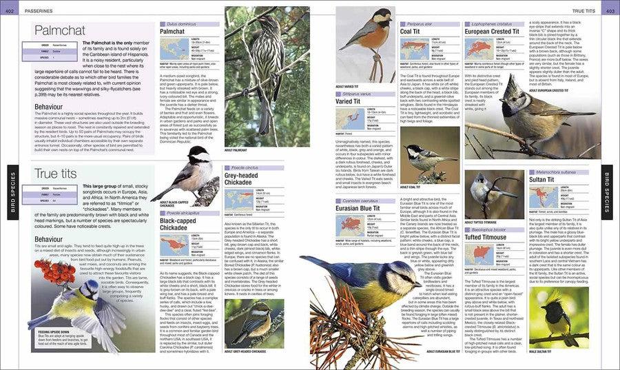 Bird (Hardback) DK UK