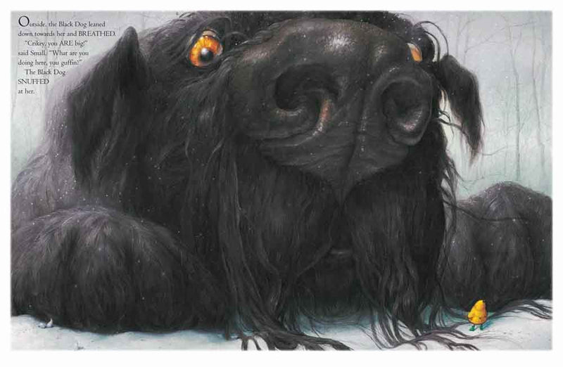 Black Dog-Fiction: 兒童繪本 Picture Books-買書書 BuyBookBook