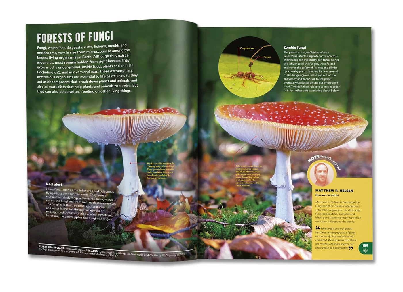 Britannica All New Children’s Encyclopedia – Updated Edition