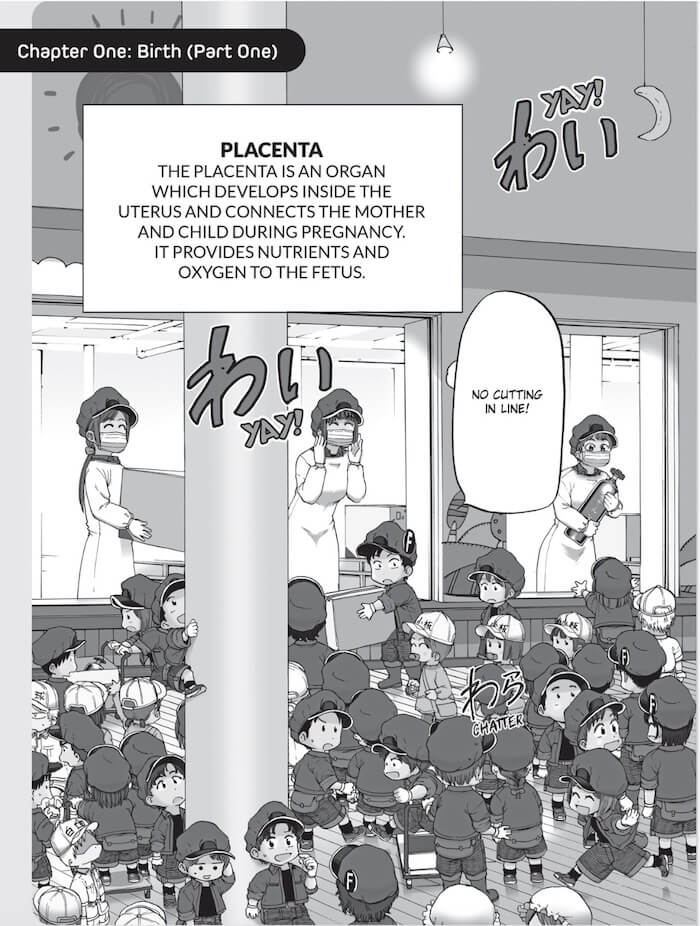 Cells at Work! Baby 1-Manga and East Asian style / tradition comic books-買書書 BuyBookBook
