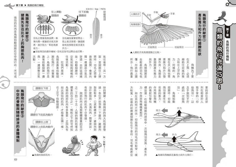 哆啦A夢科學任意門27:自由飛翔航空器-Children’s / Teenage general interest: Science and technology-買書書 BuyBookBook