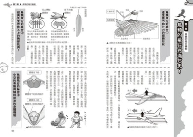 哆啦A夢科學任意門27:自由飛翔航空器-Children’s / Teenage general interest: Science and technology-買書書 BuyBookBook