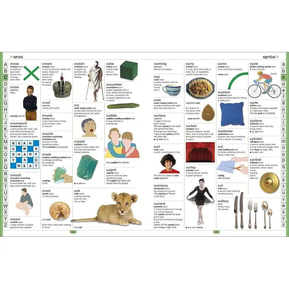 Children's Illustrated Dictionary (Hardback) DK UK