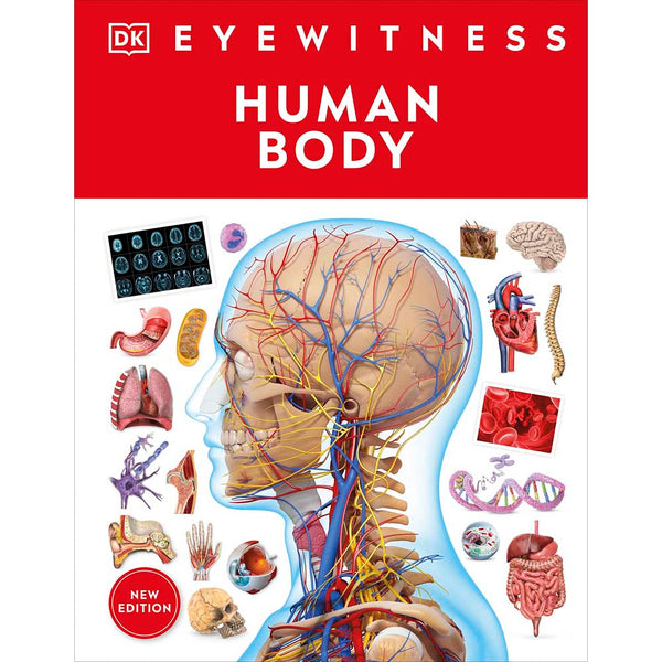 DK Eyewitness - Human Body (New Edition)-Nonfiction: 參考百科 Reference & Encyclopedia-買書書 BuyBookBook