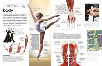 DK Eyewitness - Human Body (New Edition)-Nonfiction: 參考百科 Reference & Encyclopedia-買書書 BuyBookBook