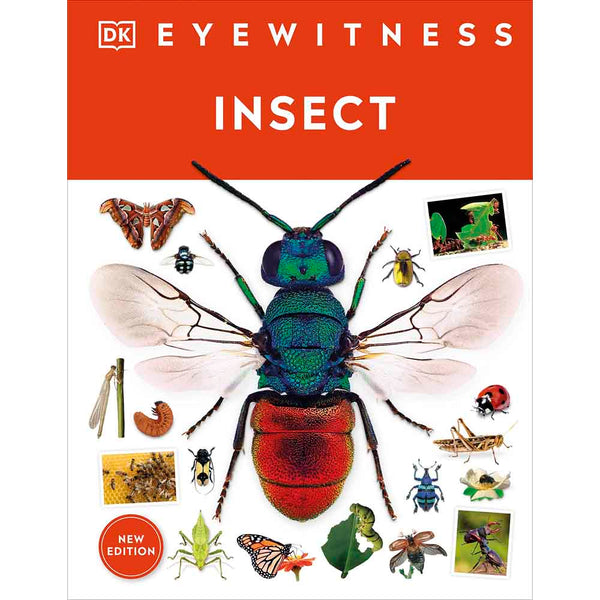 DK Eyewitness - Insect-Nonfiction: 動物植物 Animal & Plant-買書書 BuyBookBook