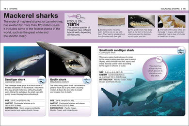 Pocket DK Eyewitness - Sharks - 買書書 BuyBookBook