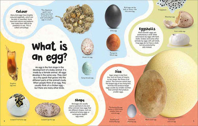 Egg Book, The-Nonfiction: 動物植物 Animal & Plant-買書書 BuyBookBook