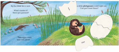Eggs!: A lift-the-flap counting book full of surprises!-Fiction: 兒童繪本 Picture Books-買書書 BuyBookBook