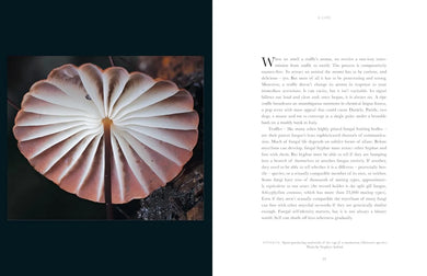 Entangled Life: The Illustrated Edition