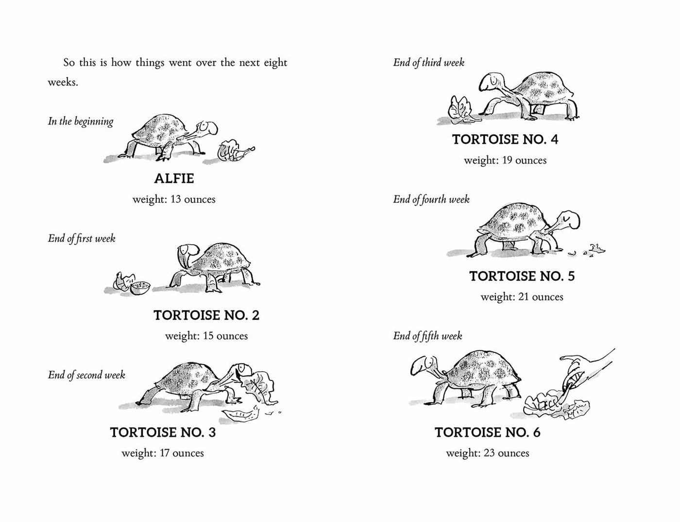 Esio Trot (Roald Dahl)-Fiction: 劇情故事 General-買書書 BuyBookBook