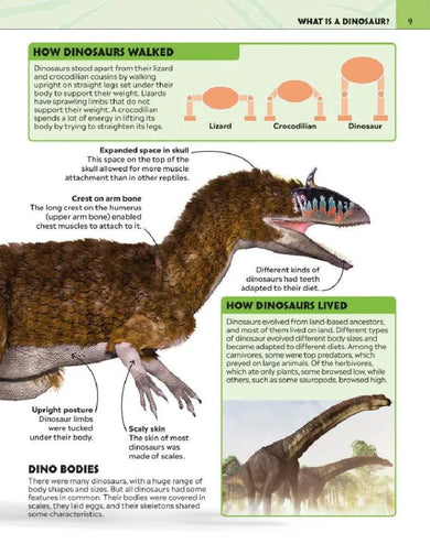 Extraordinary Dinosaurs and Other Prehistoric Life Visual Encyclopedia-Nonfiction: 動物植物 Animal & Plant-買書書 BuyBookBook