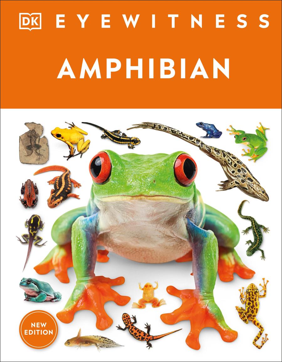 Eyewitness Amphibian-Children’s / Teenage general interest: Nature and animals-買書書 BuyBookBook