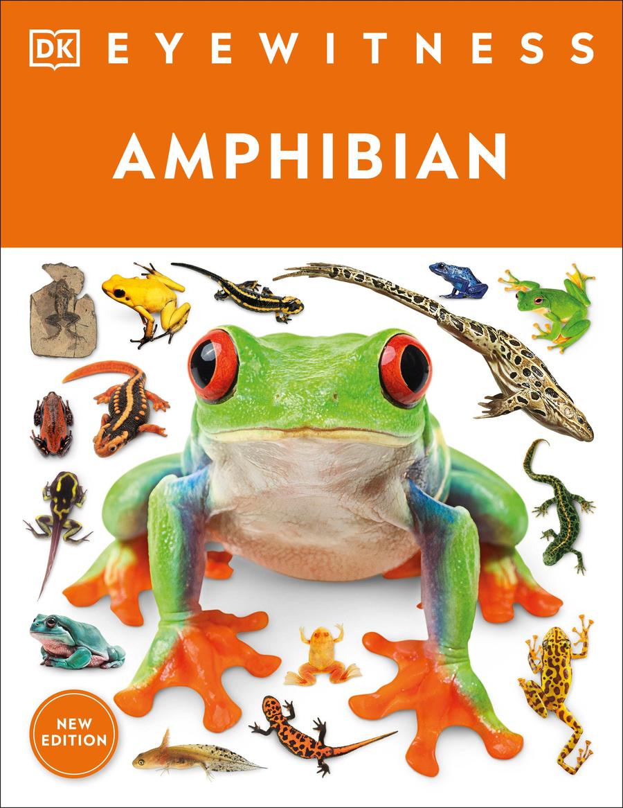 Eyewitness Amphibian-Children’s / Teenage general interest: Nature and animals-買書書 BuyBookBook