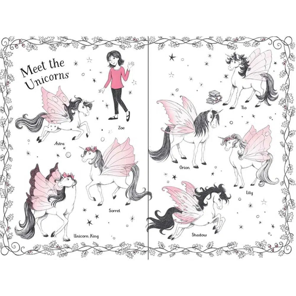 Fairy Unicorns #03 Wind Charm (Hardback) (Zanna Davidson) Usborne