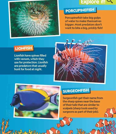 Find It! Explore It! Ocean (National Geographic Kids)-Nonfiction: 動物植物 Animal & Plant-買書書 BuyBookBook