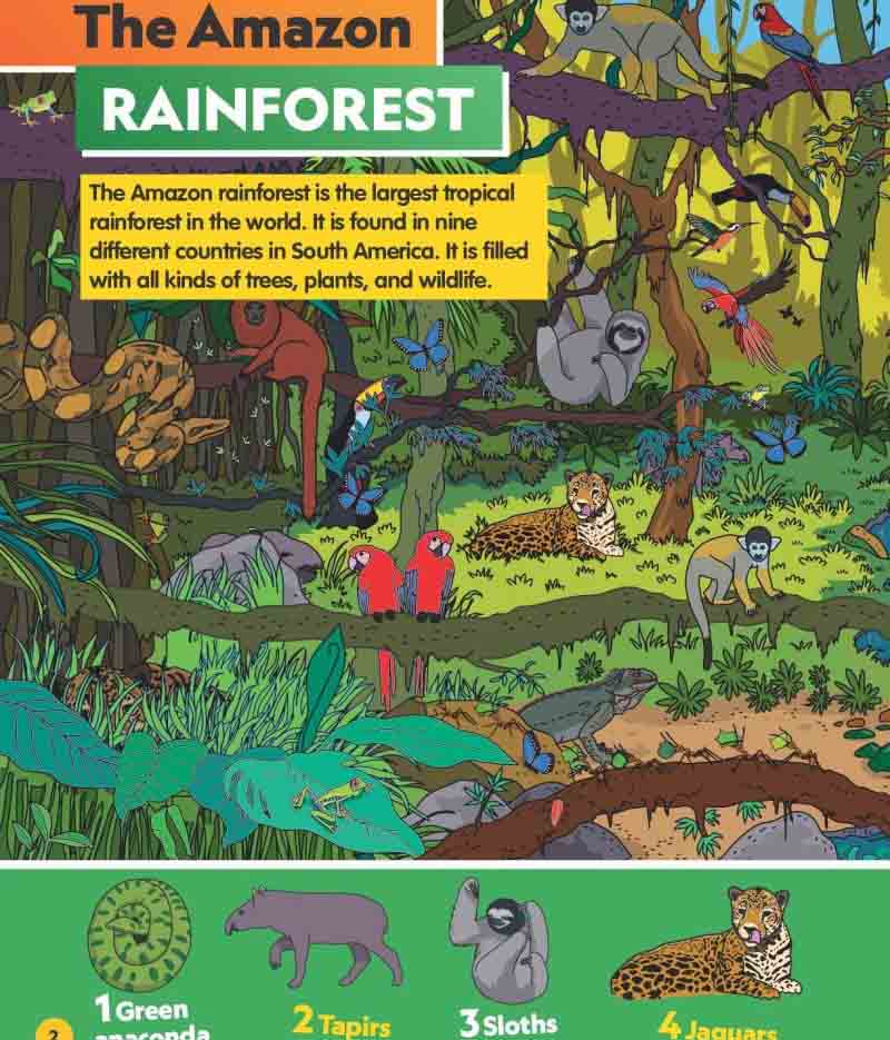 Find It! Explore It! Animals (National Geographic Kids)-Nonfiction: 動物植物 Animal & Plant-買書書 BuyBookBook