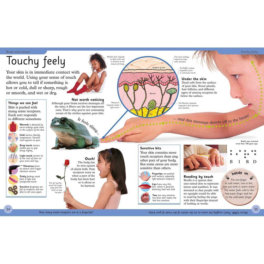 First Human Body Encyclopedia (Paperback) DK UK