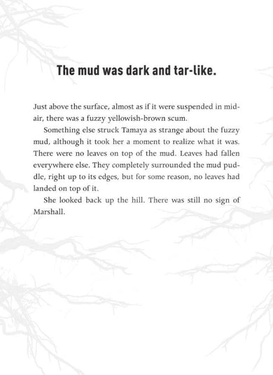 Fuzzy Mud (Louis Sachar)-Fiction: 劇情故事 General-買書書 BuyBookBook