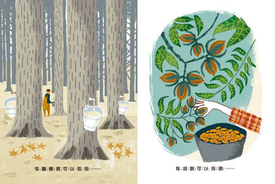 感謝有樹:樹木帶來令人驚喜的美好生活(SDGs生態永續繪本)-Children’s / Teenage general interest: Nature and animals-買書書 BuyBookBook