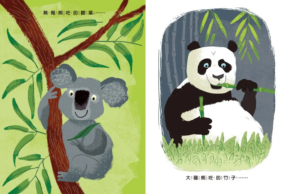 感謝有樹:樹木帶來令人驚喜的美好生活(SDGs生態永續繪本)-Children’s / Teenage general interest: Nature and animals-買書書 BuyBookBook