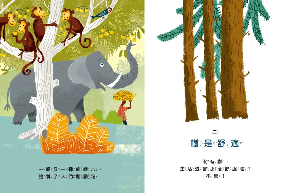 感謝有樹:樹木帶來令人驚喜的美好生活(SDGs生態永續繪本)-Children’s / Teenage general interest: Nature and animals-買書書 BuyBookBook