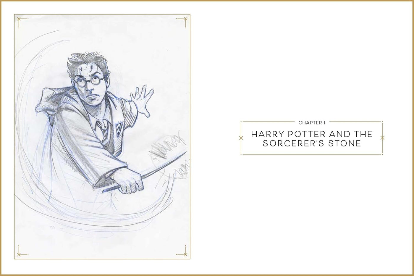 Harry Potter: The Storyboards