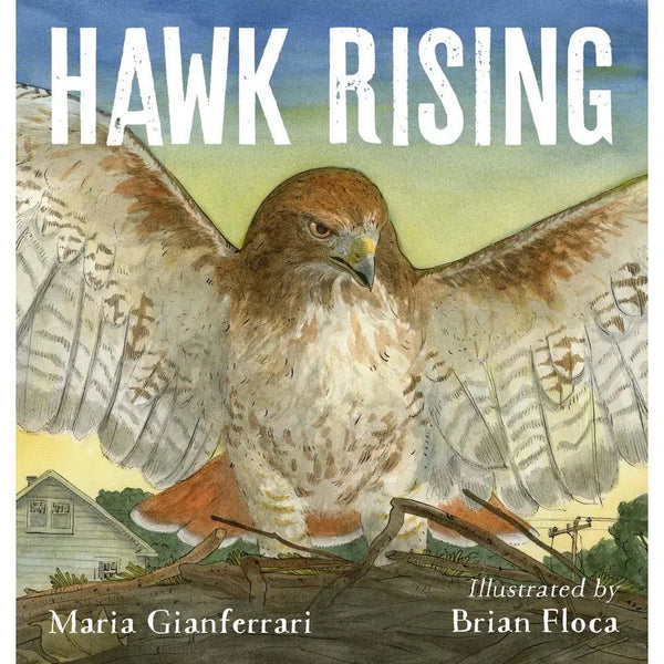 Hawk Rising (Hardcover) Macmillan US