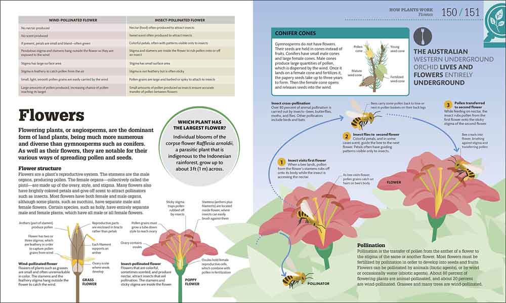 How Biology Works-Mathematics and Science-買書書 BuyBookBook