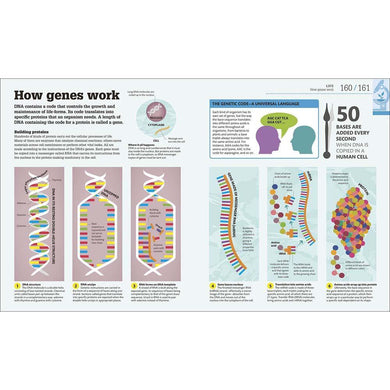 GB - Hardback