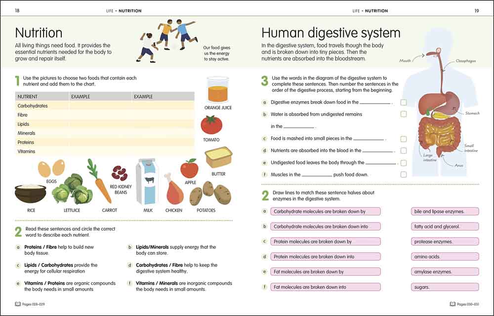 How to be Good at Science, Technology & Engineering Workbook 2 - 買書書 BuyBookBook