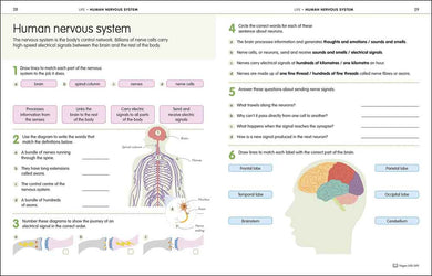 How to be Good at Science, Technology & Engineering Workbook 2 - 買書書 BuyBookBook