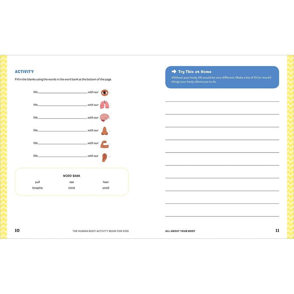 Human Body Activity Book for Kids (Paperback) Others