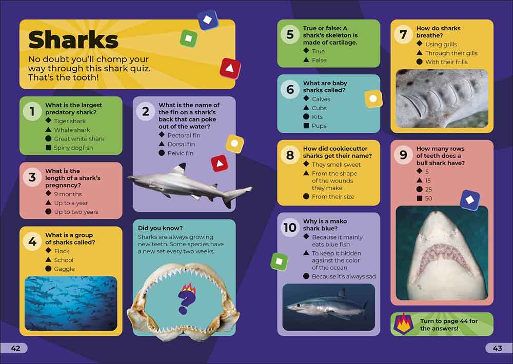 Kahoot! Quiz Time Animals-Children’s / Teenage general interest: Hobbies/ quizzes/ toys and games-買書書 BuyBookBook
