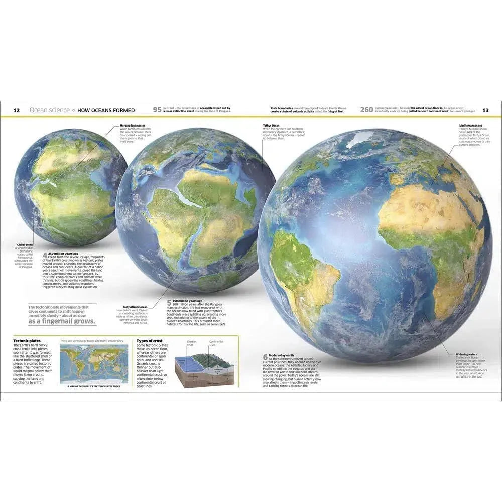 Knowledge Encyclopedia Ocean!-Children’s / Teenage reference material-買書書 BuyBookBook