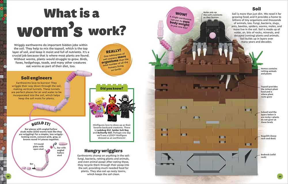 LEGO Amazing Earth-Children’s / Teenage general interest: Nature and animals-買書書 BuyBookBook