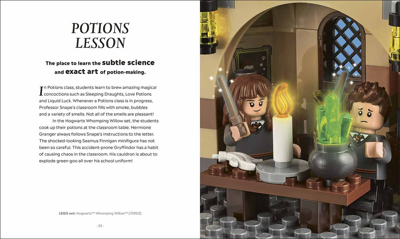 LEGO Harry Potter The Magical Guide to the Wizarding World DK UK