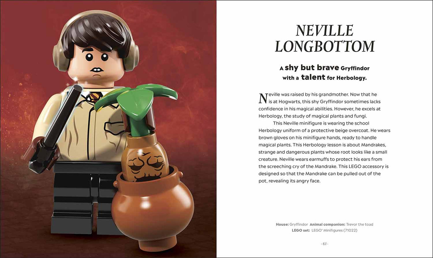 LEGO Harry Potter The Magical Guide to the Wizarding World DK UK