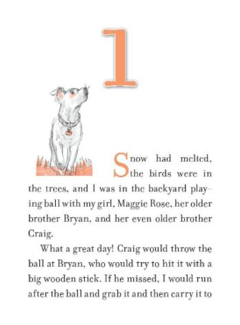 Lily to the Rescue! #02 - Two Little Piggies (Paperback)(W. Bruce Cameron) Macmillan US