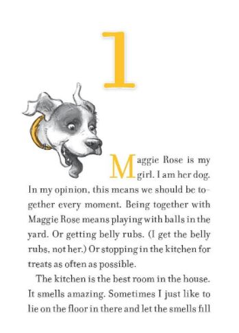 Lily to the Rescue! #06 - The Misfit Donkey (Paperback)(W. Bruce Cameron) Macmillan US