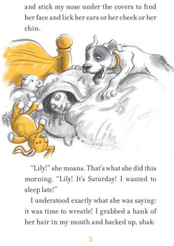 Lily to the Rescue! #06 - The Misfit Donkey (Paperback)(W. Bruce Cameron) Macmillan US