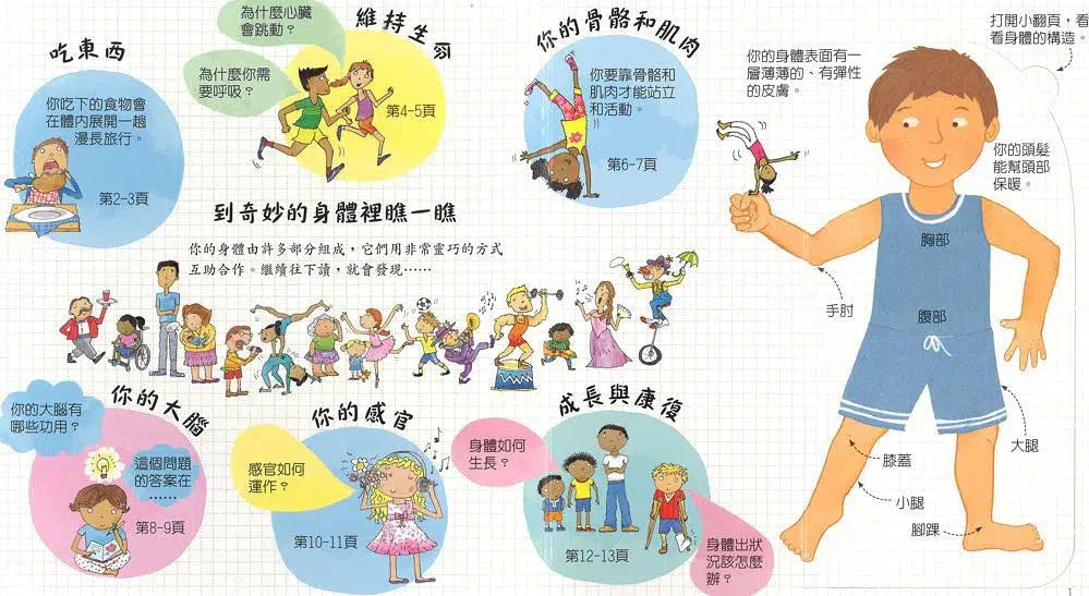 Look inside:探索奇妙的身體 (翻翻書)-非故事: 常識通識 General Knowledge-買書書 BuyBookBook